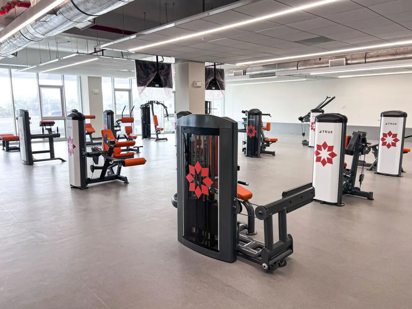 Sala de entrenamiento universitaria con racks y equipamiento comercial